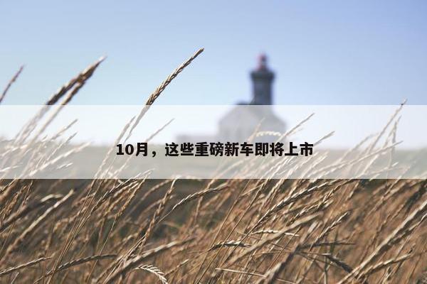 10月，这些重磅新车即将上市