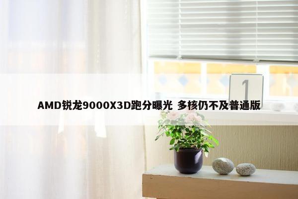 AMD锐龙9000X3D跑分曝光 多核仍不及普通版