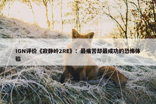 IGN评价《寂静岭2RE》：最痛苦却最成功的恐怖体验