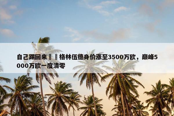 自己踢回来❗️格林伍德身价涨至3500万欧，巅峰5000万欧一度清零