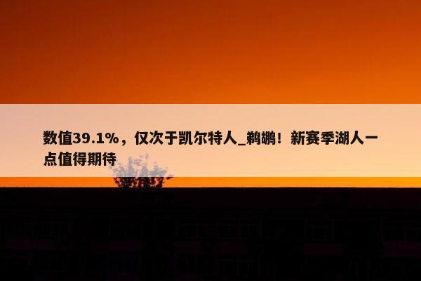 数值39.1%，仅次于凯尔特人_鹈鹕！新赛季湖人一点值得期待