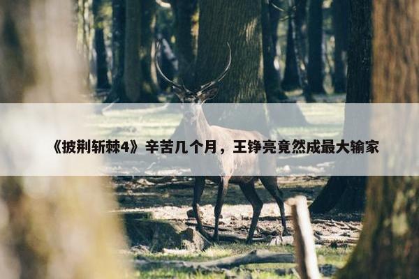 《披荆斩棘4》辛苦几个月，王铮亮竟然成最大输家