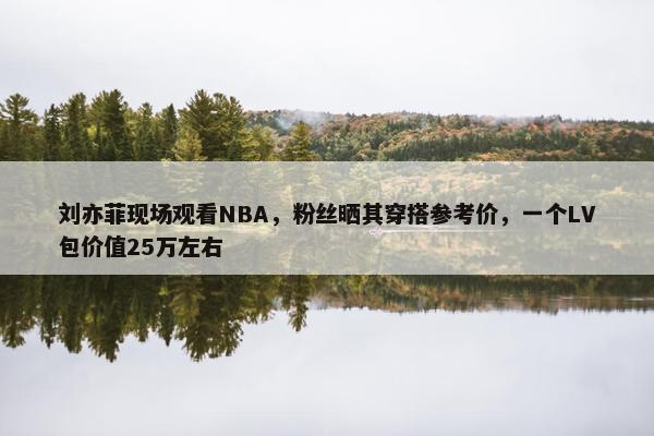 刘亦菲现场观看NBA，粉丝晒其穿搭参考价，一个LV包价值25万左右