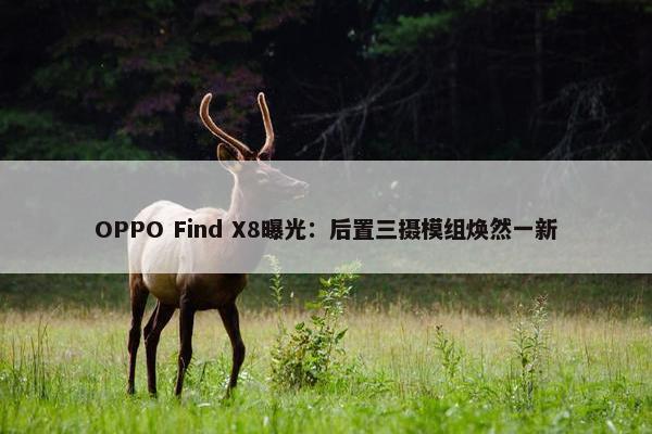 OPPO Find X8曝光：后置三摄模组焕然一新