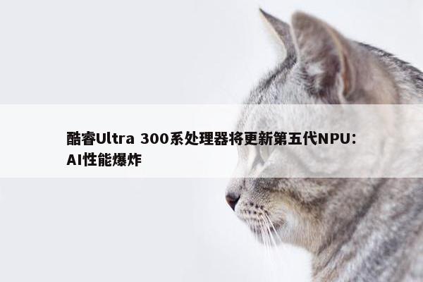 酷睿Ultra 300系处理器将更新第五代NPU：AI性能爆炸