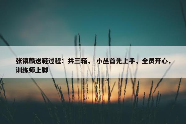 张镇麟送鞋过程：共三箱， 小丛首先上手，全员开心，训练师上脚