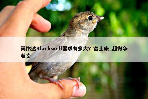 英伟达Blackwell需求有多大？富士康_超微争着卖