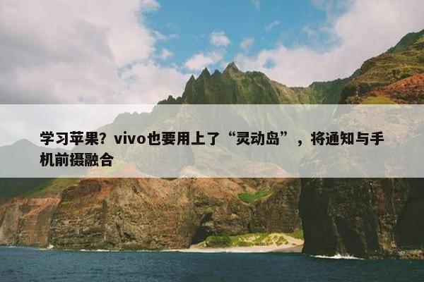 学习苹果？vivo也要用上了“灵动岛”，将通知与手机前摄融合