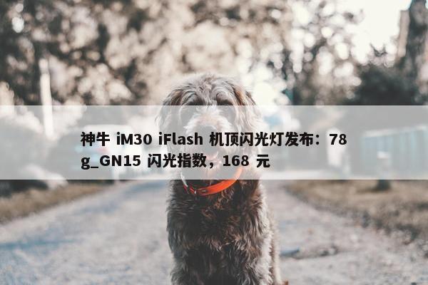 神牛 iM30 iFlash 机顶闪光灯发布：78g_GN15 闪光指数，168 元