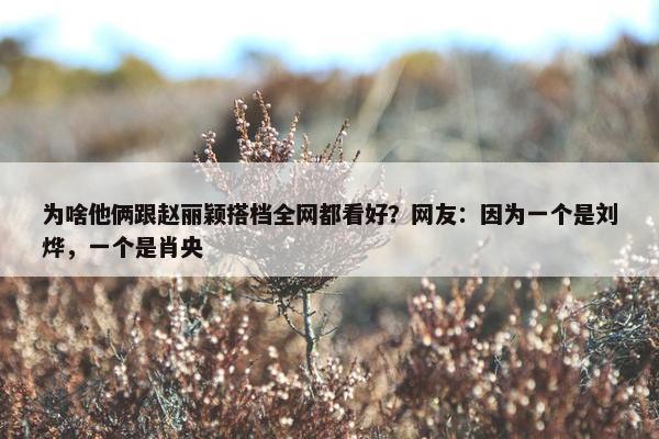 为啥他俩跟赵丽颖搭档全网都看好？网友：因为一个是刘烨，一个是肖央