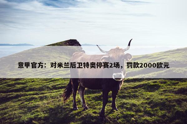 意甲官方：对米兰后卫特奥停赛2场，罚款2000欧元