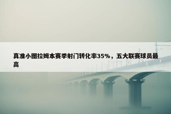 真准小图拉姆本赛季射门转化率35%，五大联赛球员最高