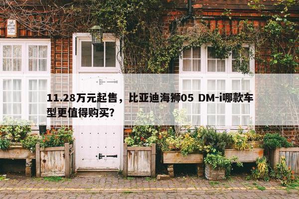 11.28万元起售，比亚迪海狮05 DM-i哪款车型更值得购买？