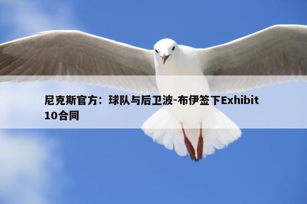 尼克斯官方：球队与后卫波-布伊签下Exhibit 10合同