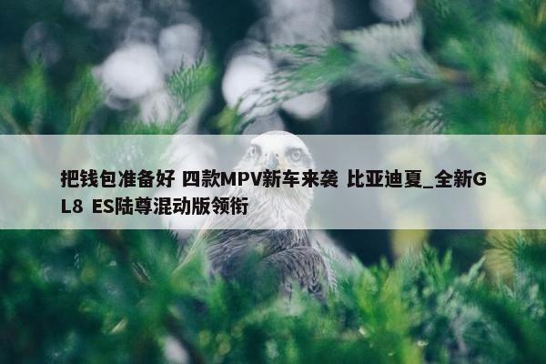 把钱包准备好 四款MPV新车来袭 比亚迪夏_全新GL8 ES陆尊混动版领衔