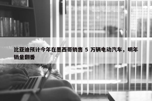 比亚迪预计今年在墨西哥销售 5 万辆电动汽车，明年销量翻番