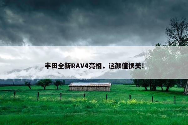 丰田全新RAV4亮相，这颜值很美！