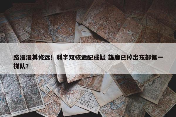 路漫漫其修远！利字双核适配成疑 雄鹿已掉出东部第一梯队？