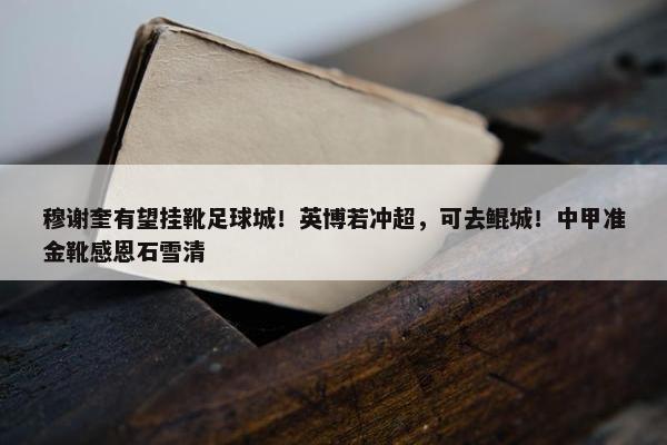 穆谢奎有望挂靴足球城！英博若冲超，可去鲲城！中甲准金靴感恩石雪清