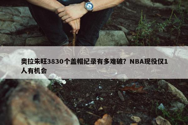 奥拉朱旺3830个盖帽纪录有多难破？NBA现役仅1人有机会