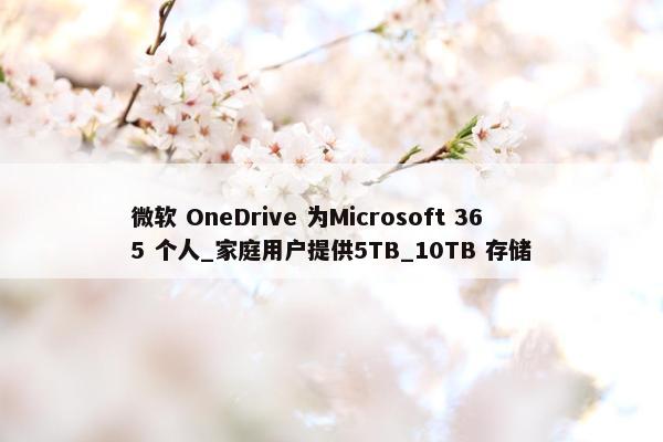 微软 OneDrive 为Microsoft 365 个人_家庭用户提供5TB_10TB 存储