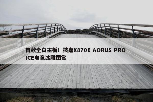 首款全白主板！技嘉X870E AORUS PRO ICE电竞冰雕图赏