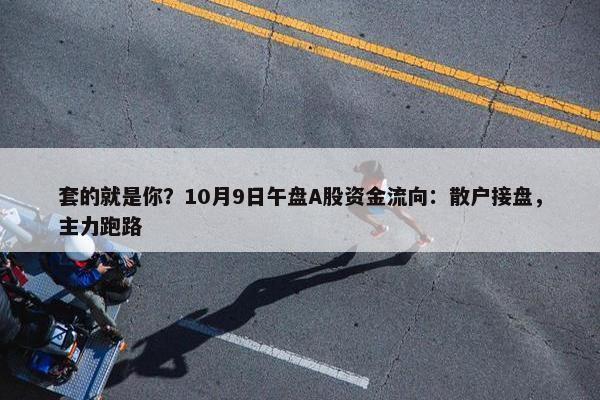 套的就是你？10月9日午盘A股资金流向：散户接盘，主力跑路