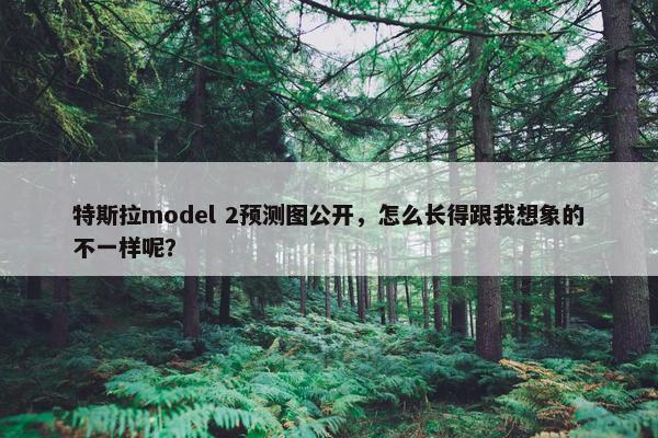 特斯拉model 2预测图公开，怎么长得跟我想象的不一样呢？