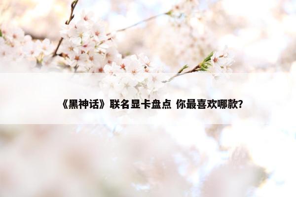 《黑神话》联名显卡盘点 你最喜欢哪款？