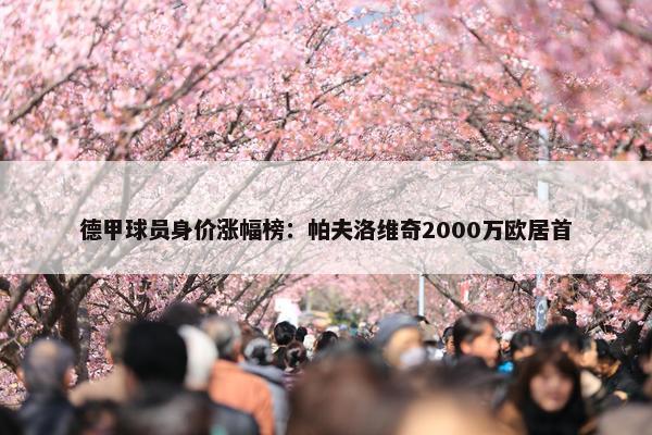 德甲球员身价涨幅榜：帕夫洛维奇2000万欧居首