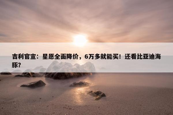 吉利官宣：星愿全面降价，6万多就能买！还看比亚迪海豚？