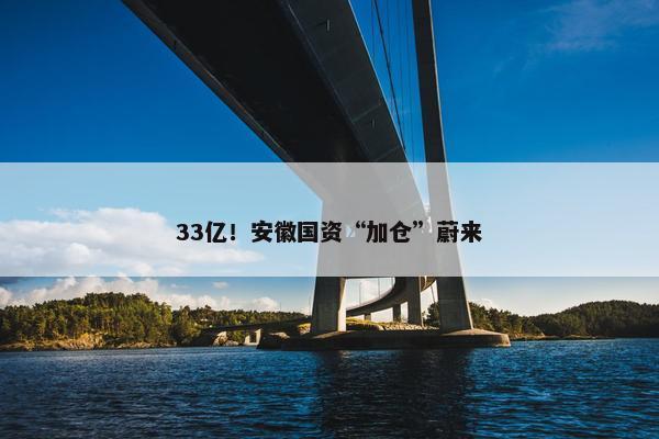 33亿！安徽国资“加仓”蔚来