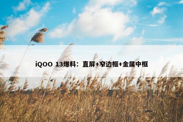 iQOO 13爆料：直屏+窄边框+金属中框