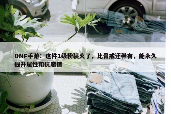 DNF手游：这件1级粉装火了，比骨戒还稀有，能永久提升属性和抗魔值