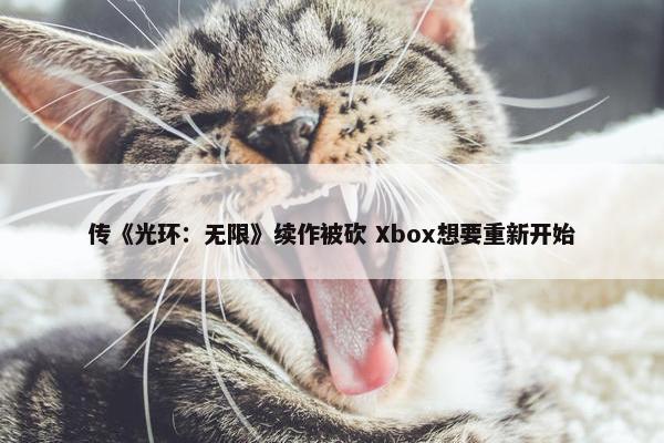 传《光环：无限》续作被砍 Xbox想要重新开始