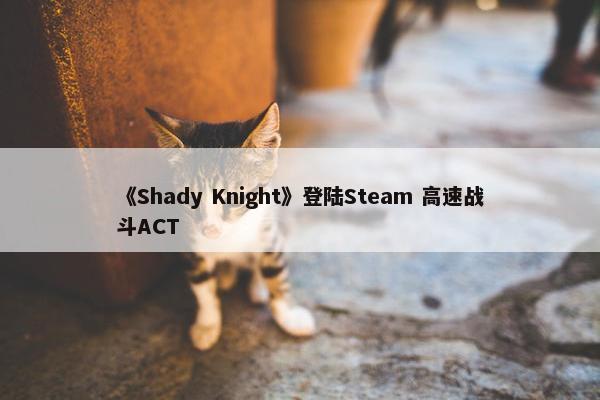 《Shady Knight》登陆Steam 高速战斗ACT