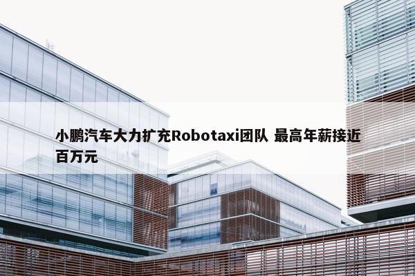 小鹏汽车大力扩充Robotaxi团队 最高年薪接近百万元