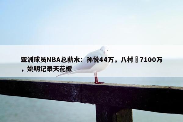 亚洲球员NBA总薪水：孙悦44万，八村塁7100万，姚明记录天花板