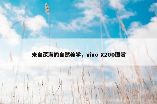 来自深海的自然美学，vivo X200图赏