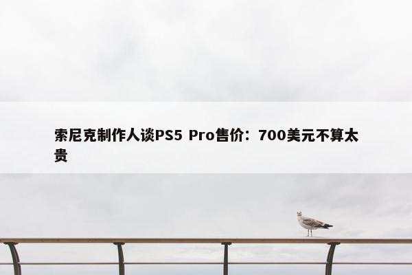 索尼克制作人谈PS5 Pro售价：700美元不算太贵