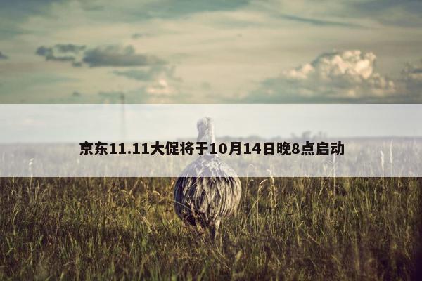 京东11.11大促将于10月14日晚8点启动