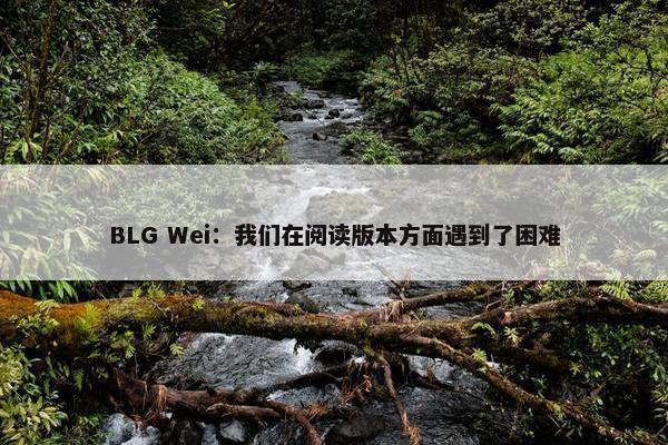 BLG Wei：我们在阅读版本方面遇到了困难