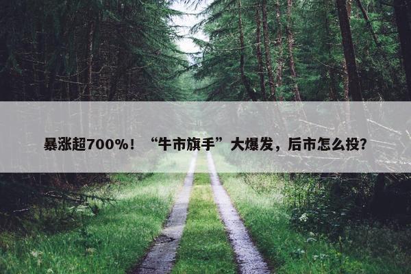 暴涨超700%！“牛市旗手”大爆发，后市怎么投？