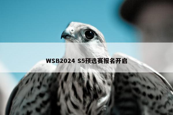 WSB2024 S5预选赛报名开启