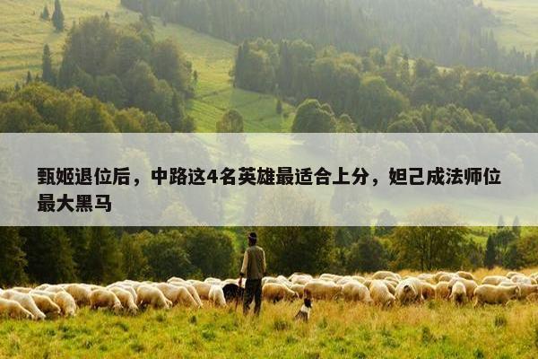 甄姬退位后，中路这4名英雄最适合上分，妲己成法师位最大黑马