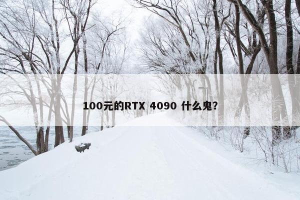 100元的RTX 4090 什么鬼？