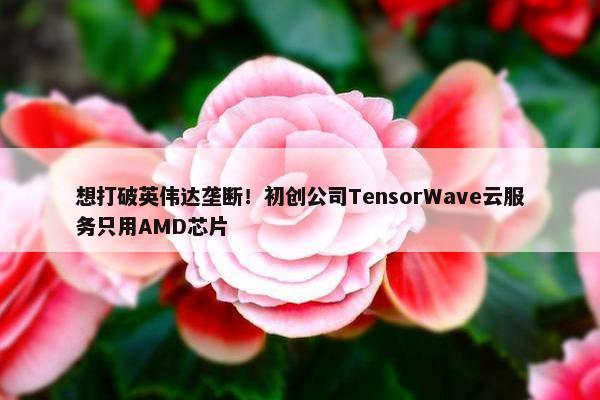 想打破英伟达垄断！初创公司TensorWave云服务只用AMD芯片