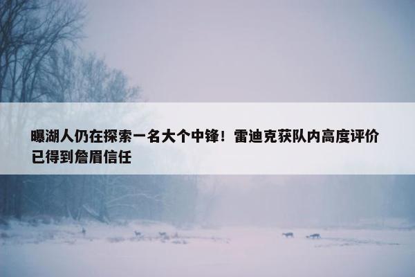 曝湖人仍在探索一名大个中锋！雷迪克获队内高度评价 已得到詹眉信任