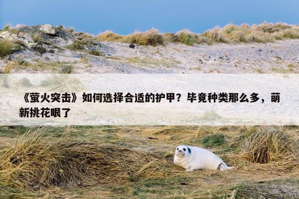 《萤火突击》如何选择合适的护甲？毕竟种类那么多，萌新挑花眼了