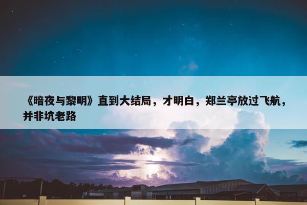 《暗夜与黎明》直到大结局，才明白，郑兰亭放过飞航，并非坑老路